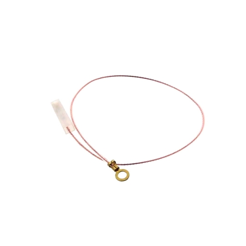 Main Thumbnail