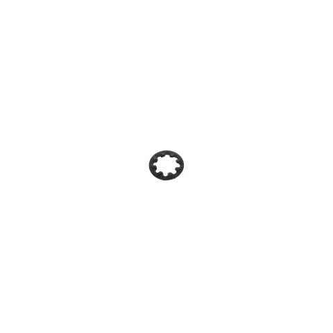 Main Thumbnail