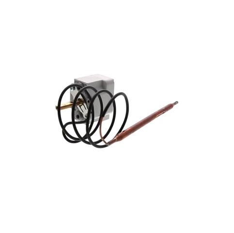 Main Thumbnail