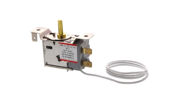 Main Thumbnail