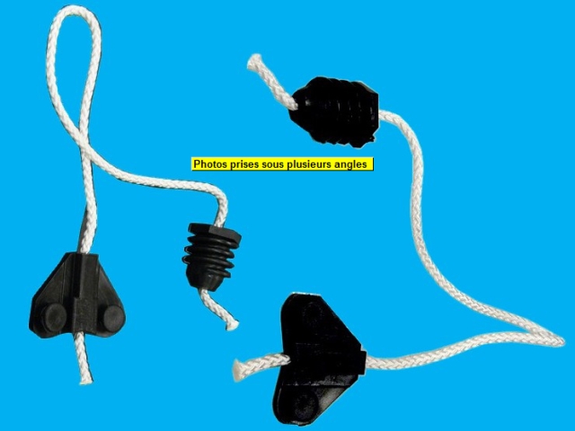 Main Thumbnail