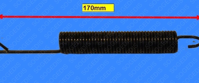 Main Thumbnail