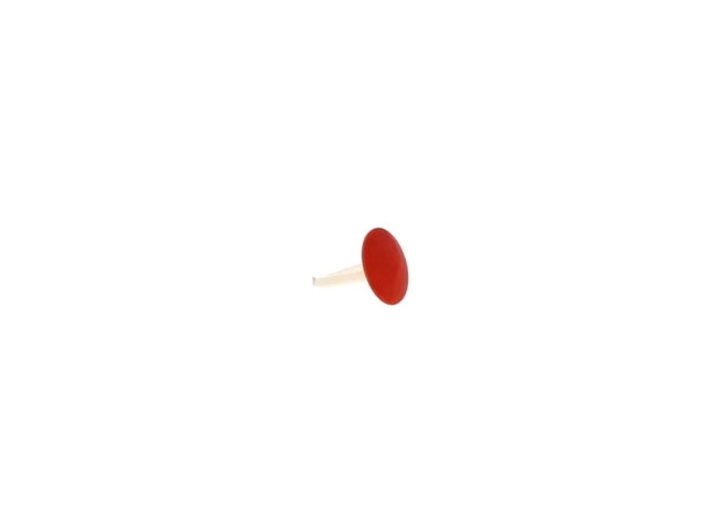 Main Thumbnail