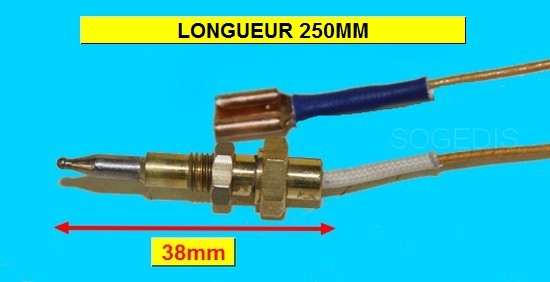 Main Thumbnail