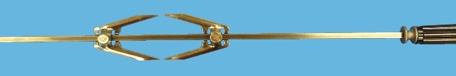 Main Thumbnail