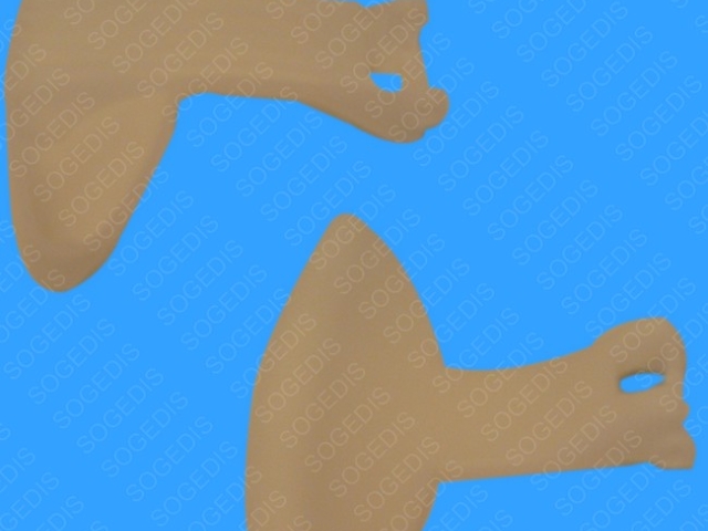 Main Thumbnail
