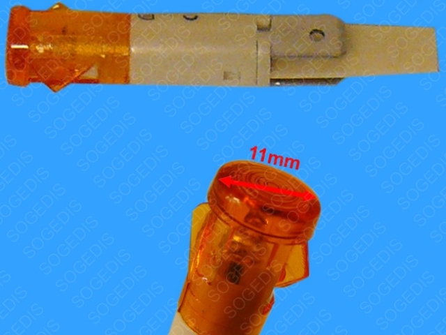 Main Thumbnail