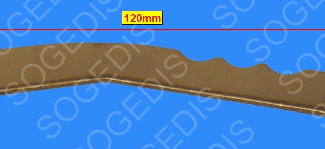 Main Thumbnail